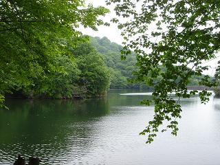f0000521_23051.jpg