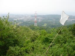 交野山　２０１０・５・２４_f0000521_272894.jpg