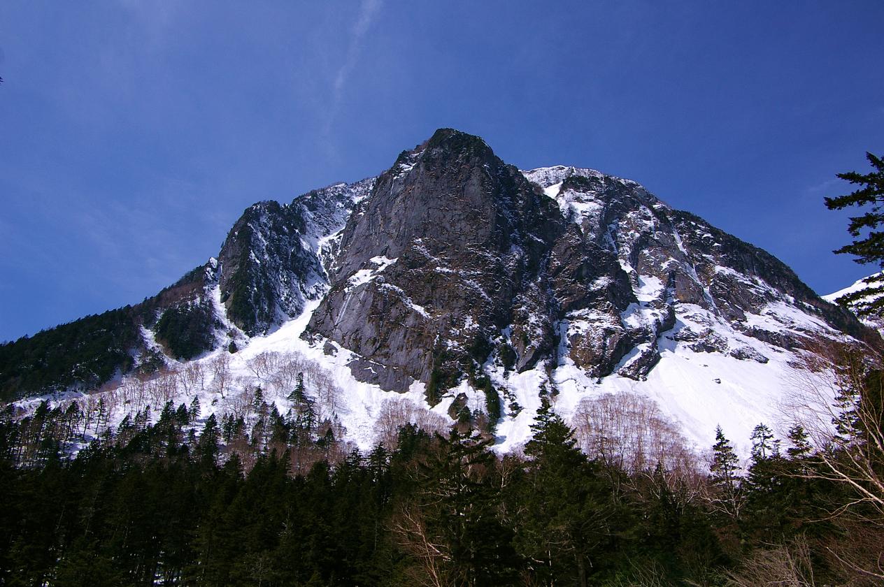 b0062024_826571.jpg