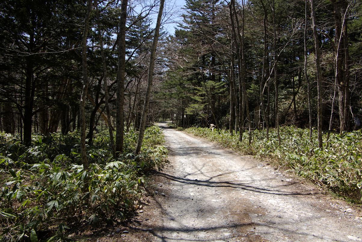 b0062024_8363216.jpg