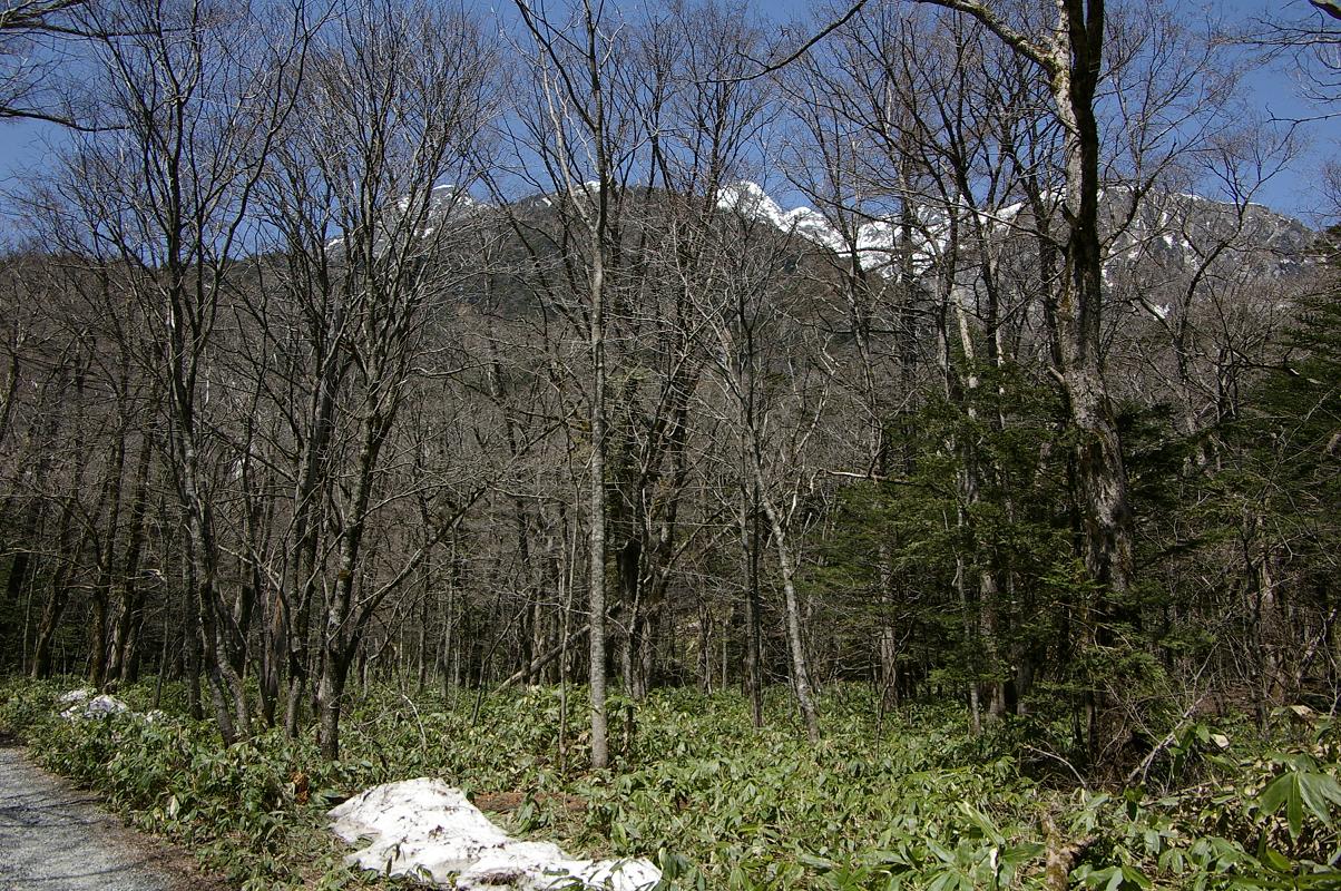 b0062024_837393.jpg