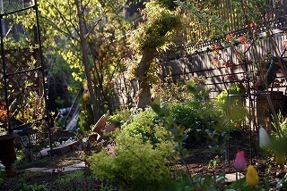 f0170524_15441844.jpg