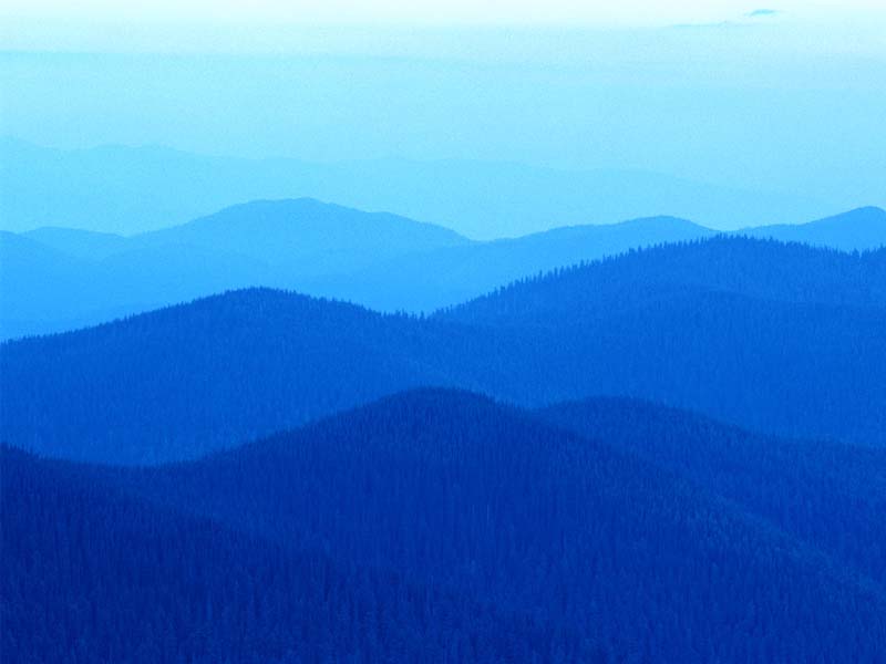 f0211425_14323750.jpg