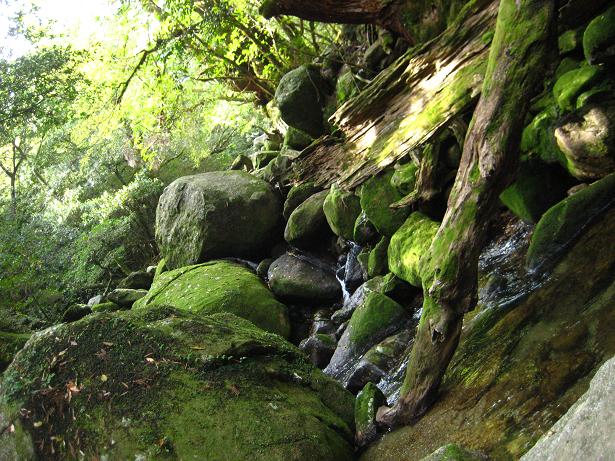 c0177527_14153.jpg