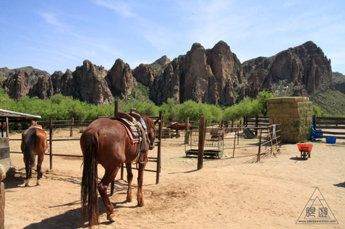 045 Tonto National Forest ~初の乗馬~_c0211532_1133449.jpg