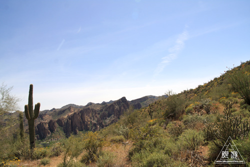 045 Tonto National Forest ～初の乗馬～_c0211532_11533585.jpg