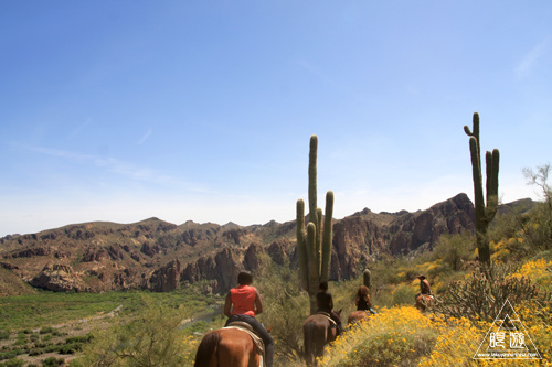 045 Tonto National Forest ～初の乗馬～_c0211532_11535255.jpg