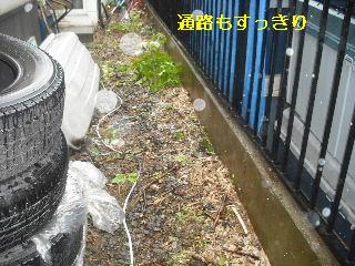 3つの気配り・ひとつの営業・その暴言・・バッサリ_f0031037_21115746.jpg