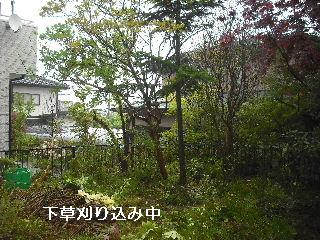 3つの気配り・ひとつの営業・その暴言・・バッサリ_f0031037_21143044.jpg
