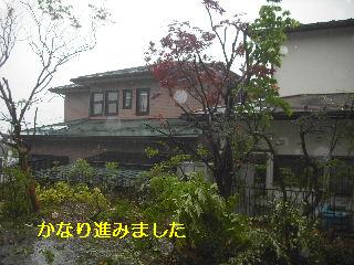 3つの気配り・ひとつの営業・その暴言・・バッサリ_f0031037_21181289.jpg