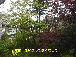 3つの気配り・ひとつの営業・その暴言・・バッサリ_f0031037_2194884.jpg