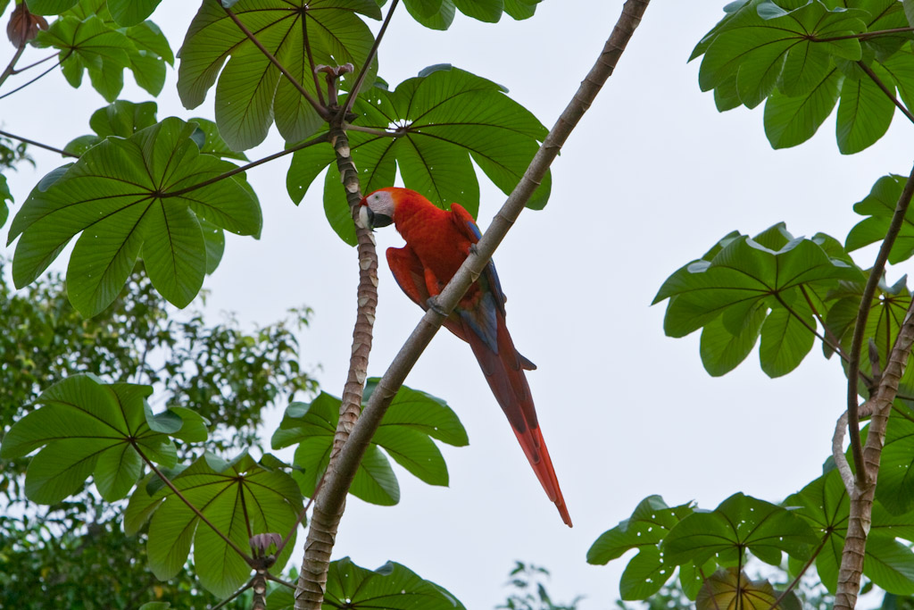 c0157739_1594630.jpg