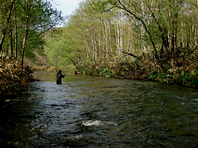 d0075843_12442352.jpg