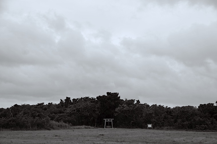f0236145_11084.jpg