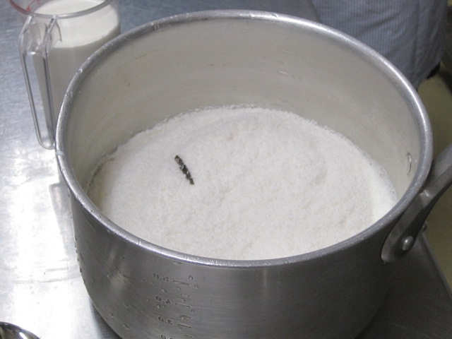 c0217246_4475211.jpg