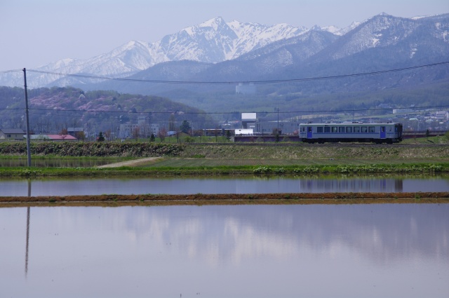 春の動き　　　富良野・美瑛_b0133447_23313028.jpg