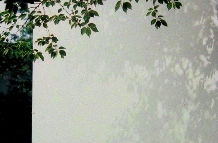 f0139948_9345916.jpg
