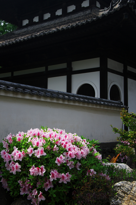 新緑とツツジの東福寺（後編）_f0155048_022137.jpg