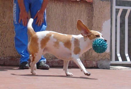 a0166650_21535546.jpg