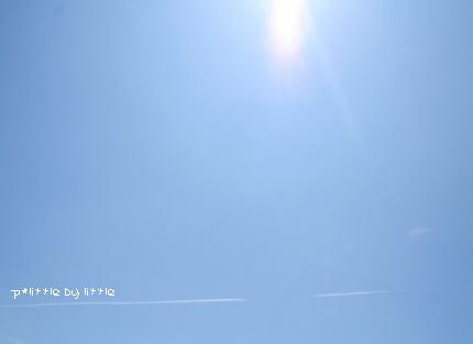e0126350_2172775.jpg