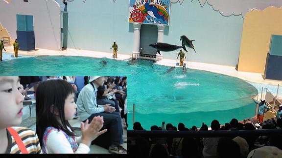 須磨水族館_a0118951_20365316.jpg