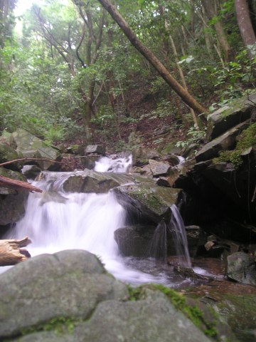 a0030256_23323130.jpg