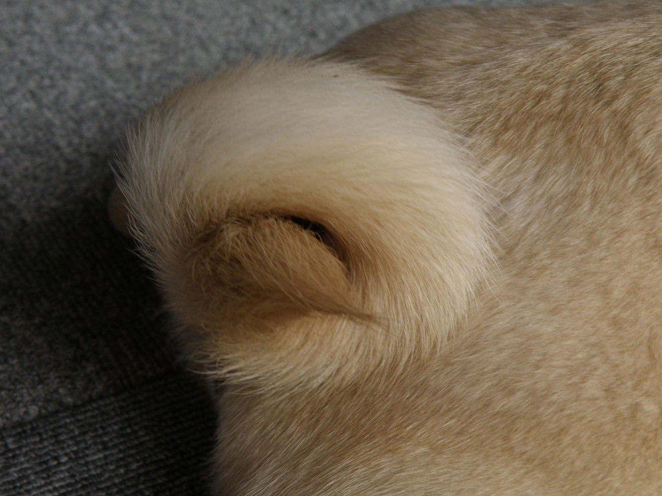 a0160956_22271290.jpg