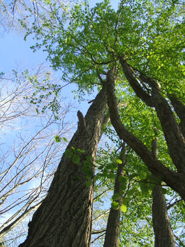 c0097856_23103695.jpg
