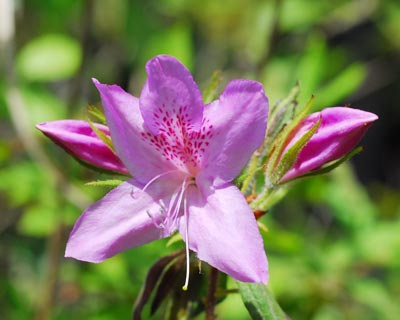e0035757_18101040.jpg