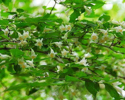 e0035757_1817061.jpg