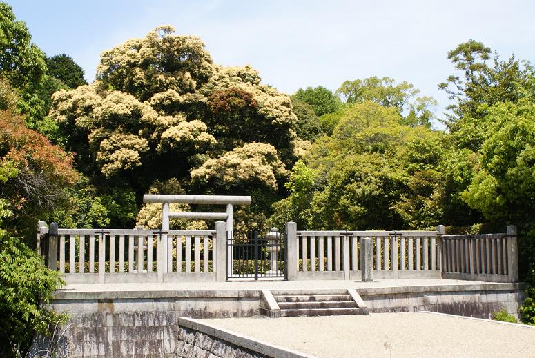 カキツバタやタンポポ咲く佐紀盾列古墳群_b0063958_1473475.jpg