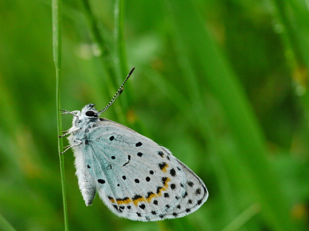 a0146869_45577.jpg
