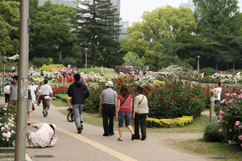 5/22　大阪・靱公園①_e0174074_2227129.jpg