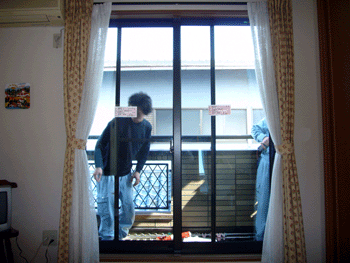 b0155675_22255519.gif