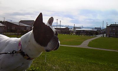 b0056476_12243648.jpg
