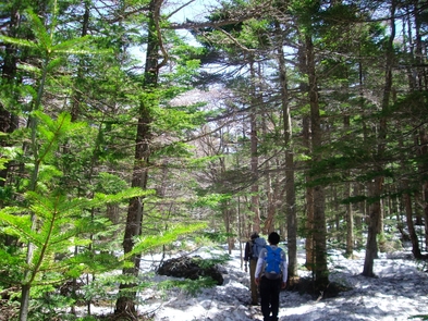 GO!GO!! 浅間登山 Part1_f0180878_1581690.jpg