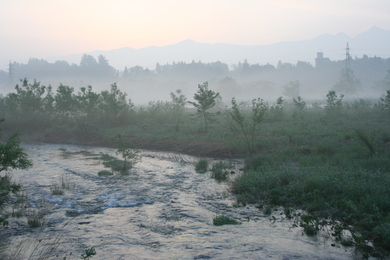 d0161279_21521869.jpg