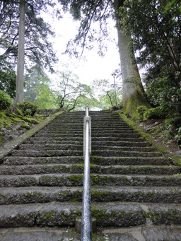 雨の日を楽しくしようか_e0024081_20512137.jpg