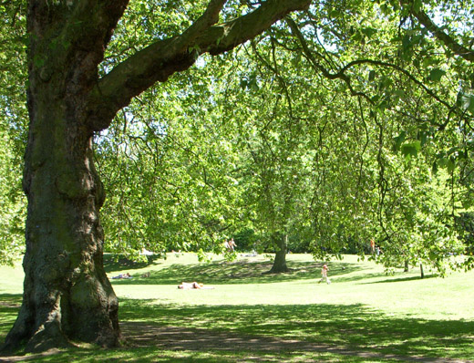 ロンドン真夏の公園は・・・_a0067582_4364135.jpg