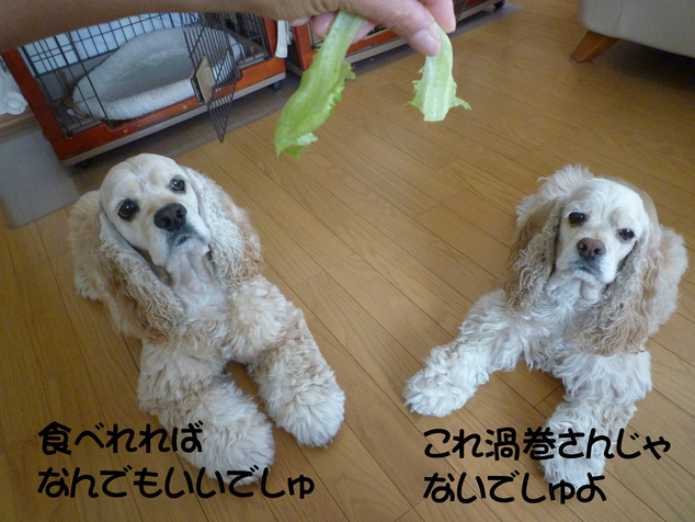 f0218182_10593750.jpg