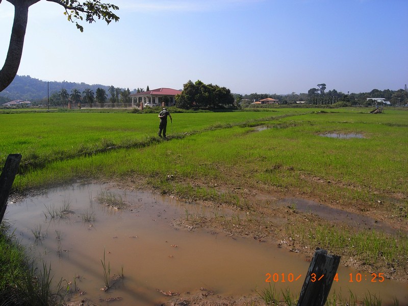 b0108186_0592844.jpg