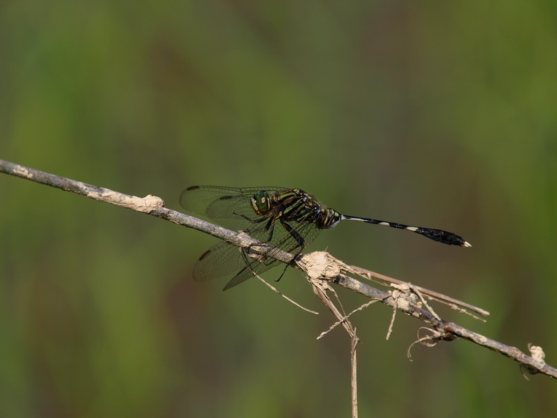 b0108186_14338.jpg