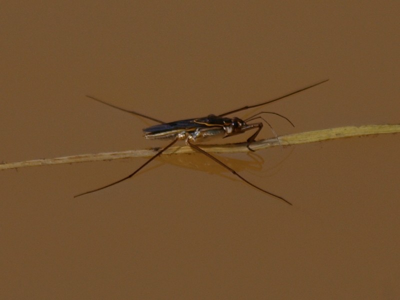 b0108186_143771.jpg