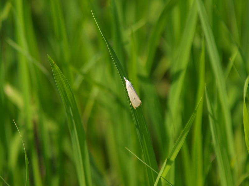 b0108186_153550.jpg