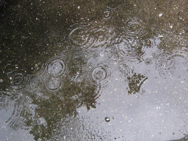 c0132387_21242018.jpg