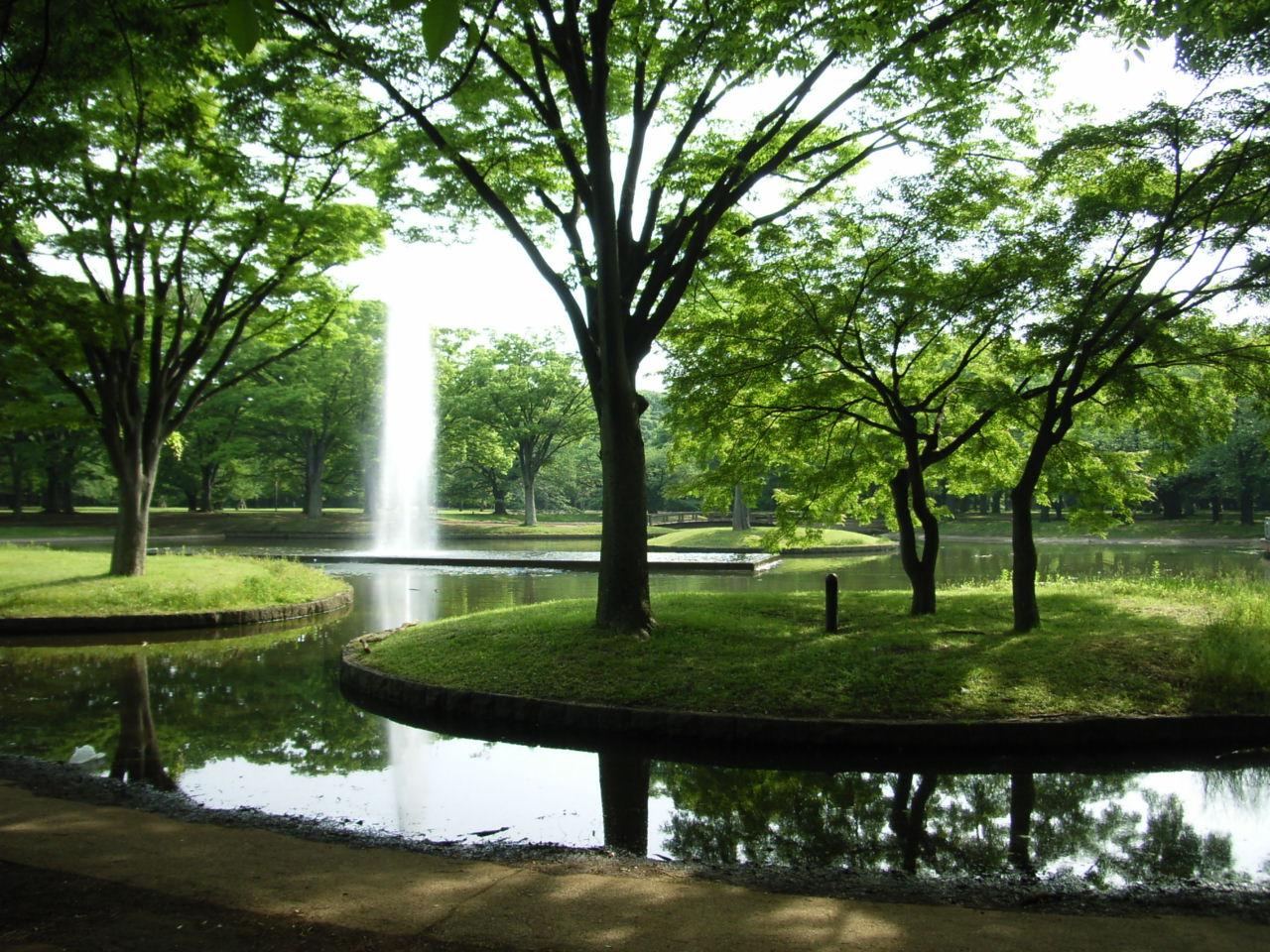 代々木公園の噴水_e0188287_13465894.jpg