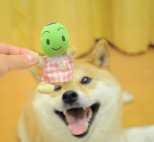 もう泣きたいよ~~~~~!!_a0126590_23393080.jpg