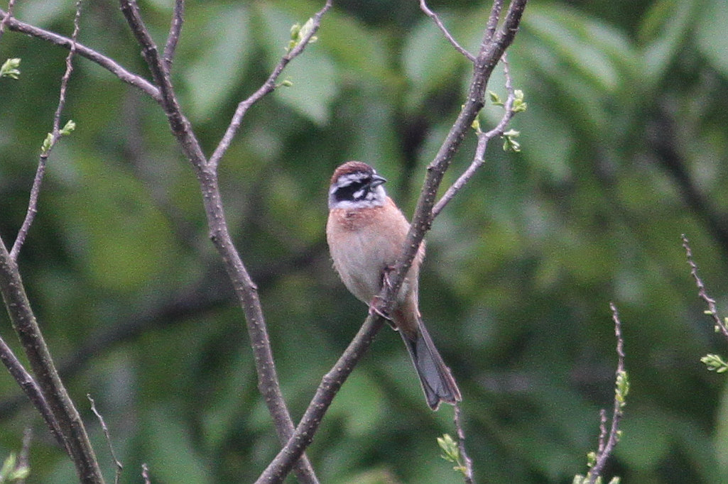 b0174191_0351368.jpg