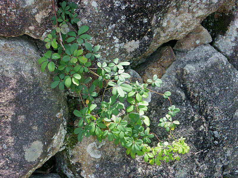 f0204094_11482271.jpg