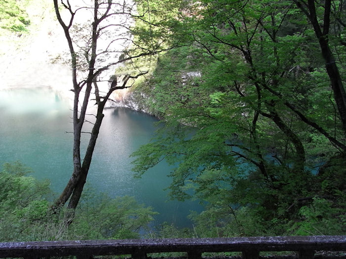 c0061695_21112376.jpg